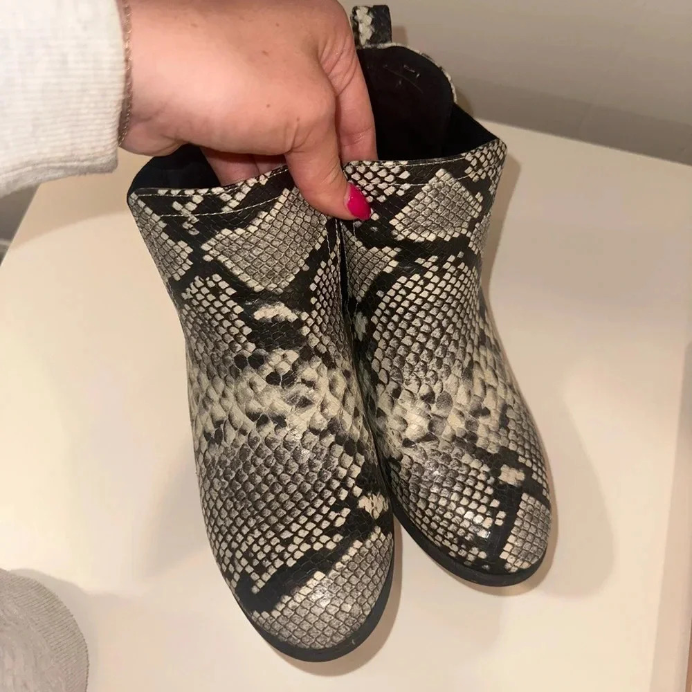 DSW snake booties 8.5 - Picture 3 of 10